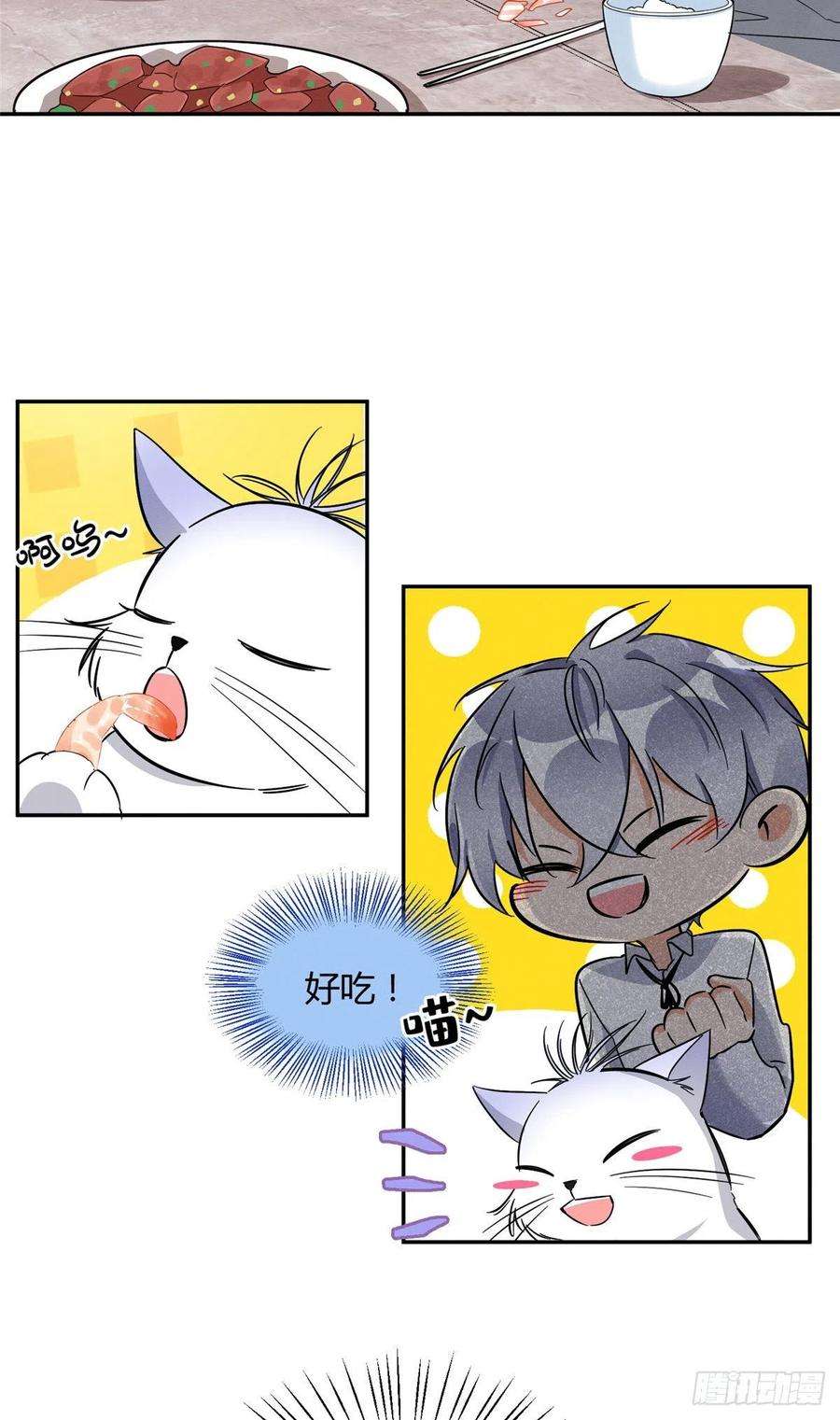 今天也要努力当只猫28话 画你