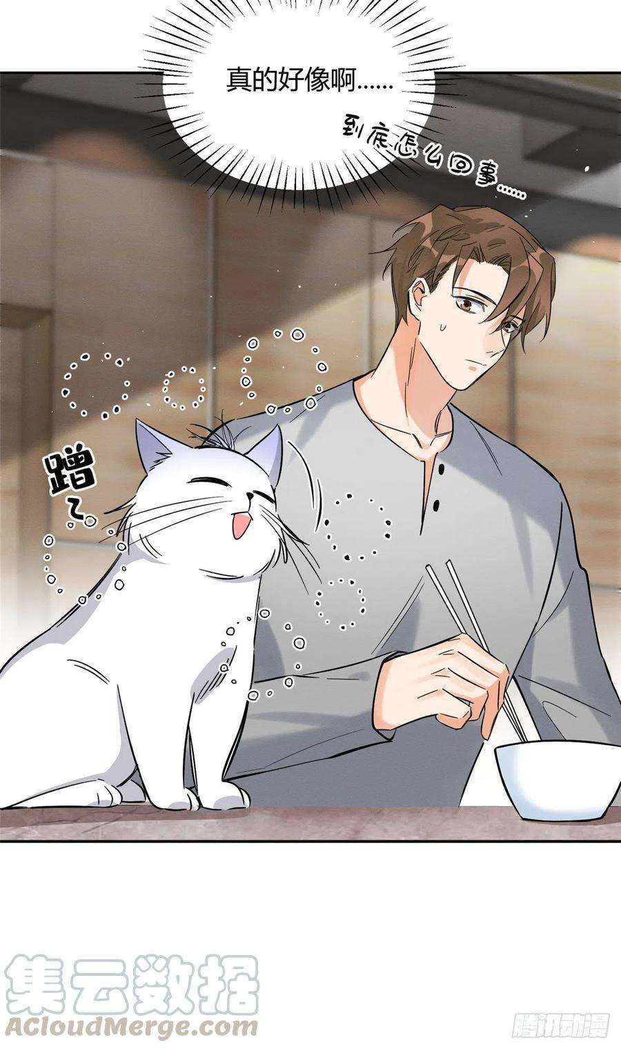 今天也要努力当只猫28话 画你