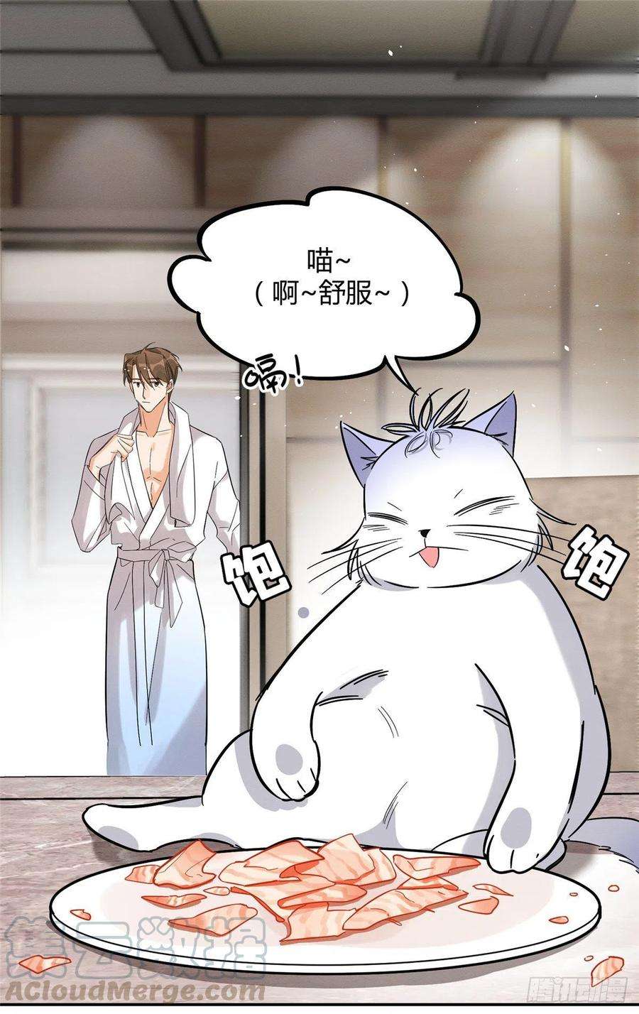 今天也要努力当只猫28话 画你