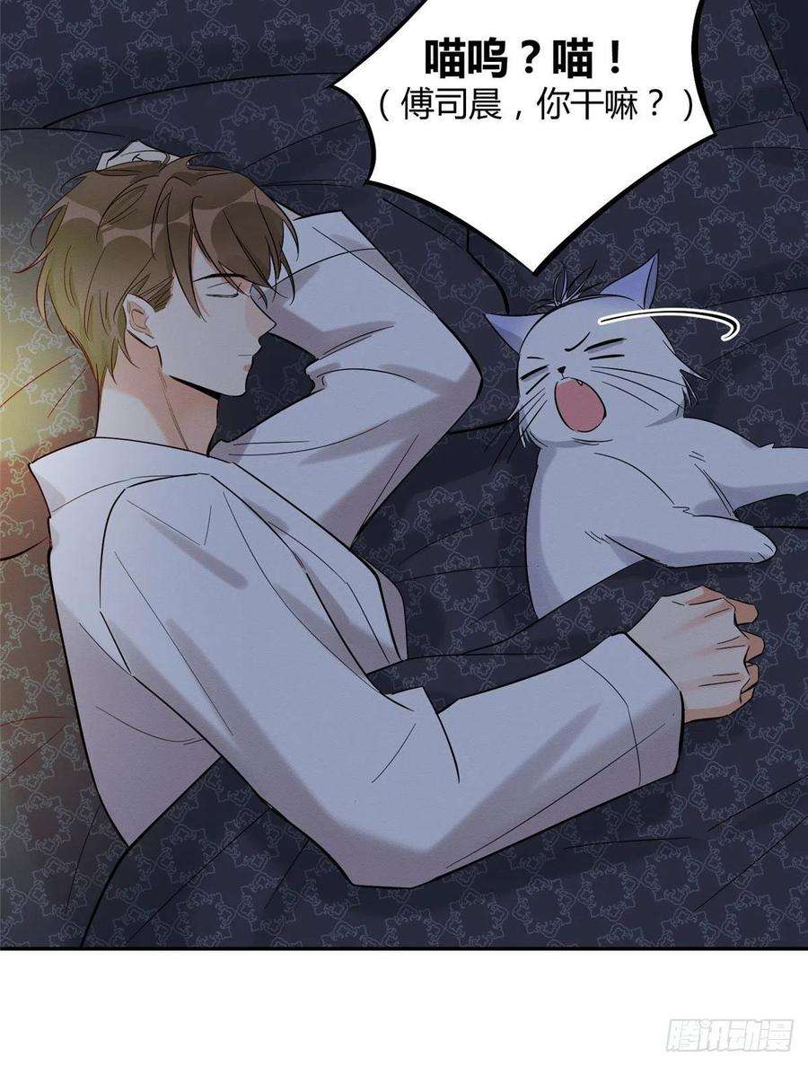 今天也要努力当只猫29话 和你一起很安心