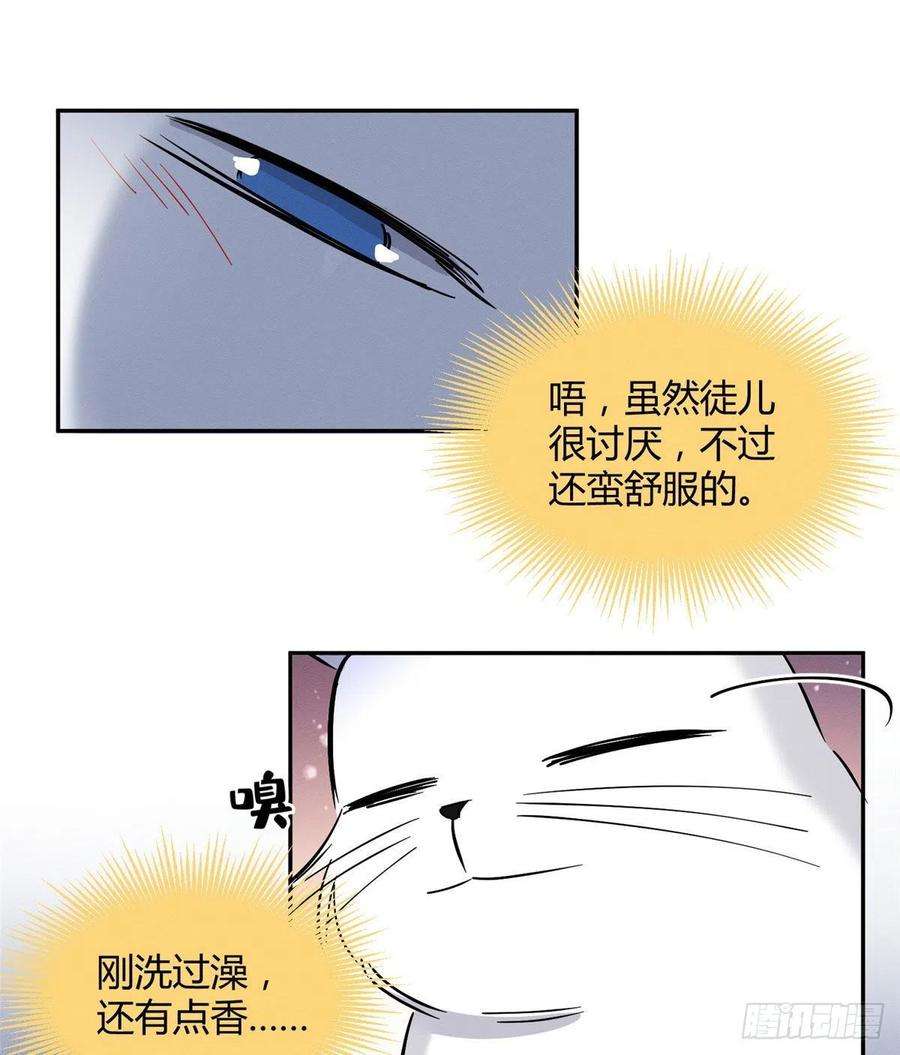 今天也要努力当只猫29话 和你一起很安心