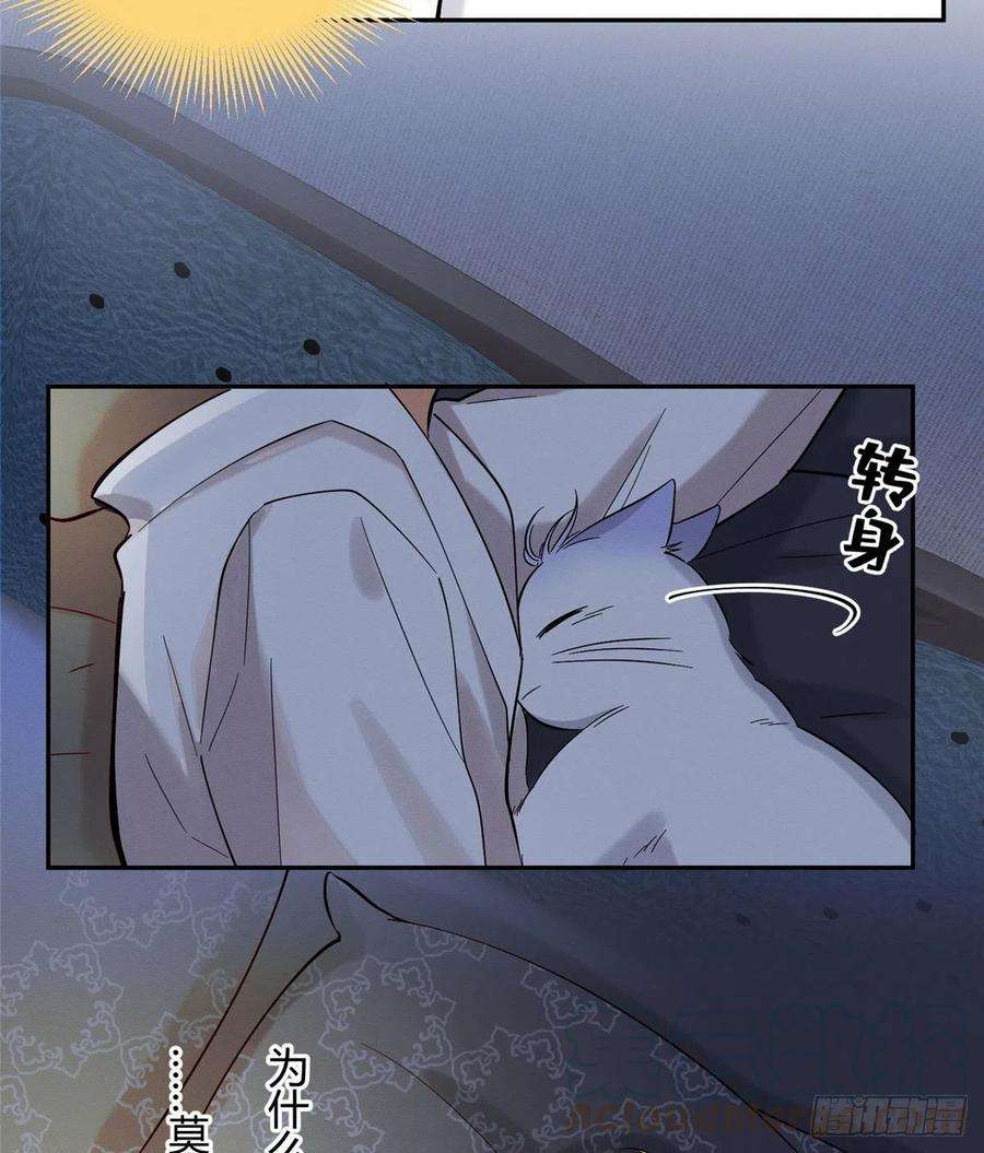 今天也要努力当只猫29话 和你一起很安心