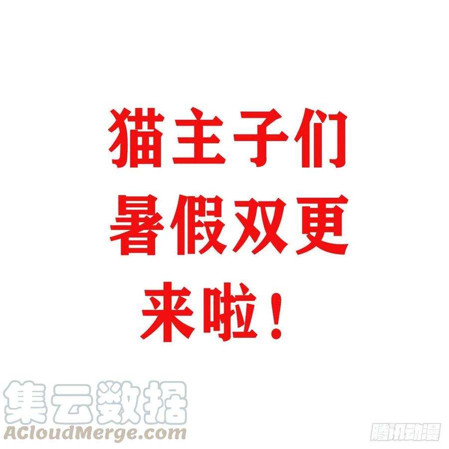 今天也要努力当只猫双更公告