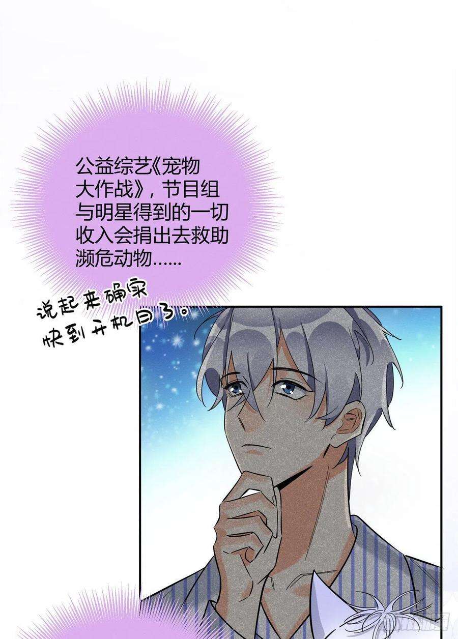 今天也要努力当只猫31话 为了裴裴，接了！