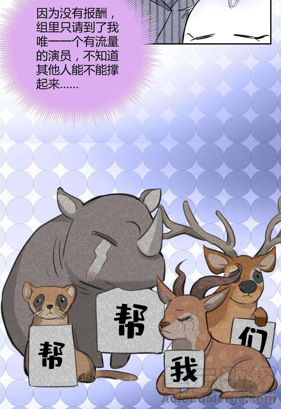 今天也要努力当只猫31话 为了裴裴，接了！