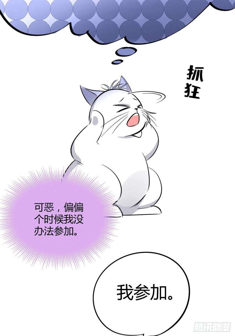 今天也要努力当只猫31话 为了裴裴，接了！