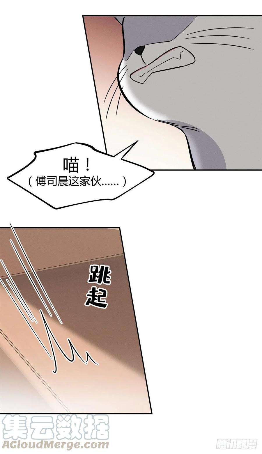 今天也要努力当只猫31话 为了裴裴，接了！