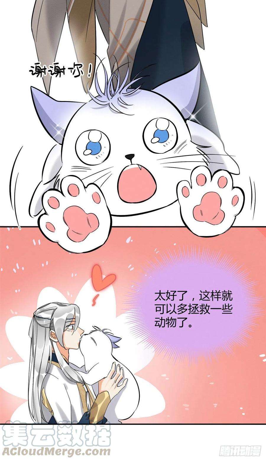 今天也要努力当只猫31话 为了裴裴，接了！