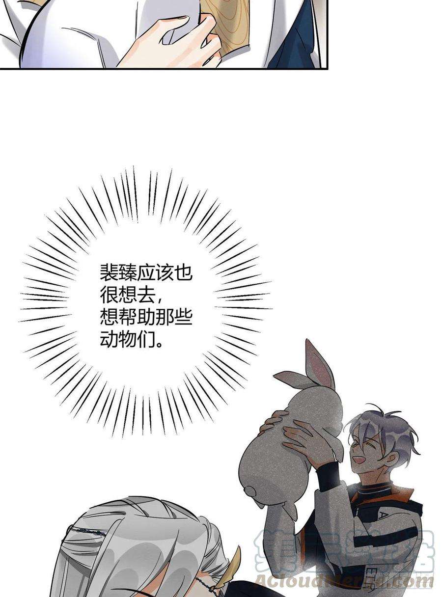 今天也要努力当只猫31话 为了裴裴，接了！