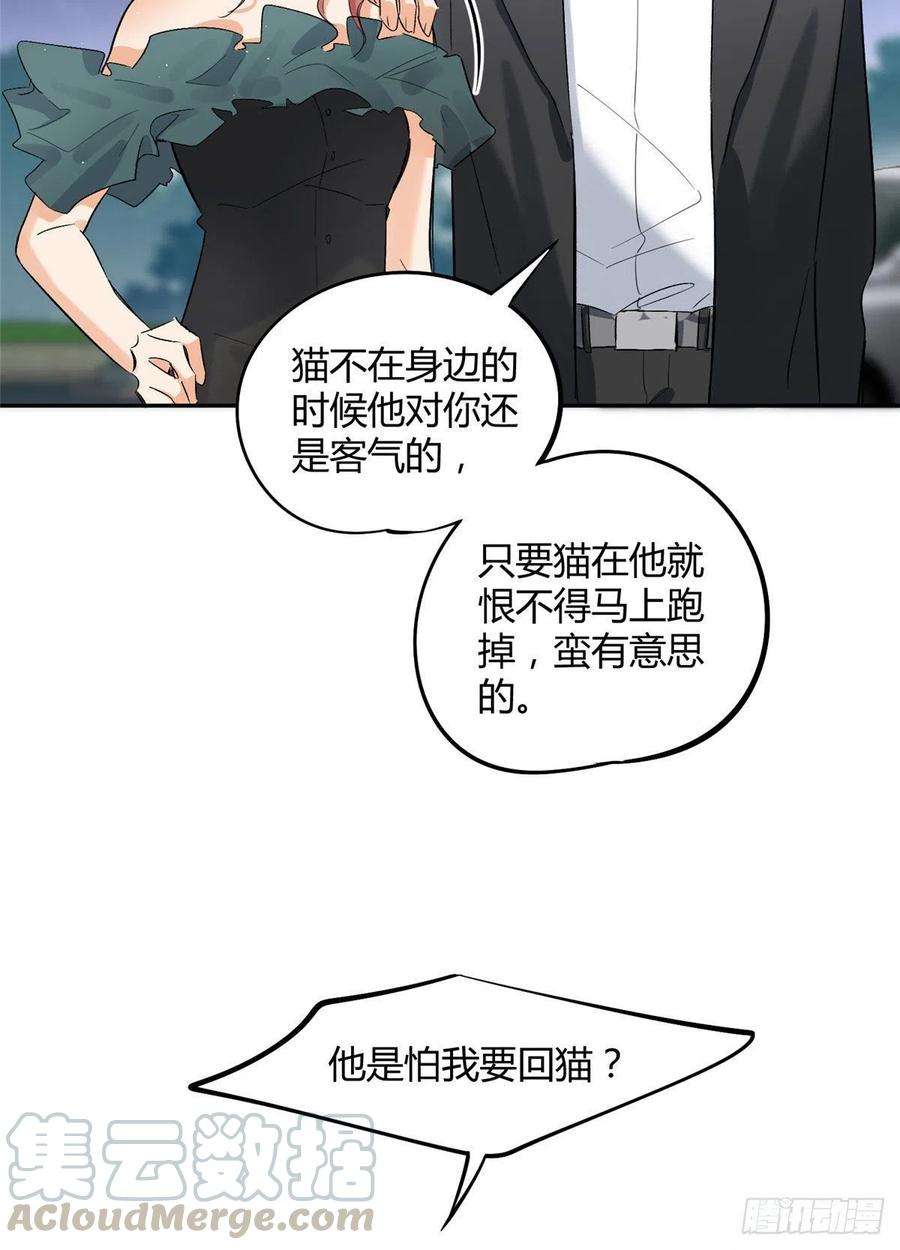 今天也要努力当只猫32话 人会变成猫吗？