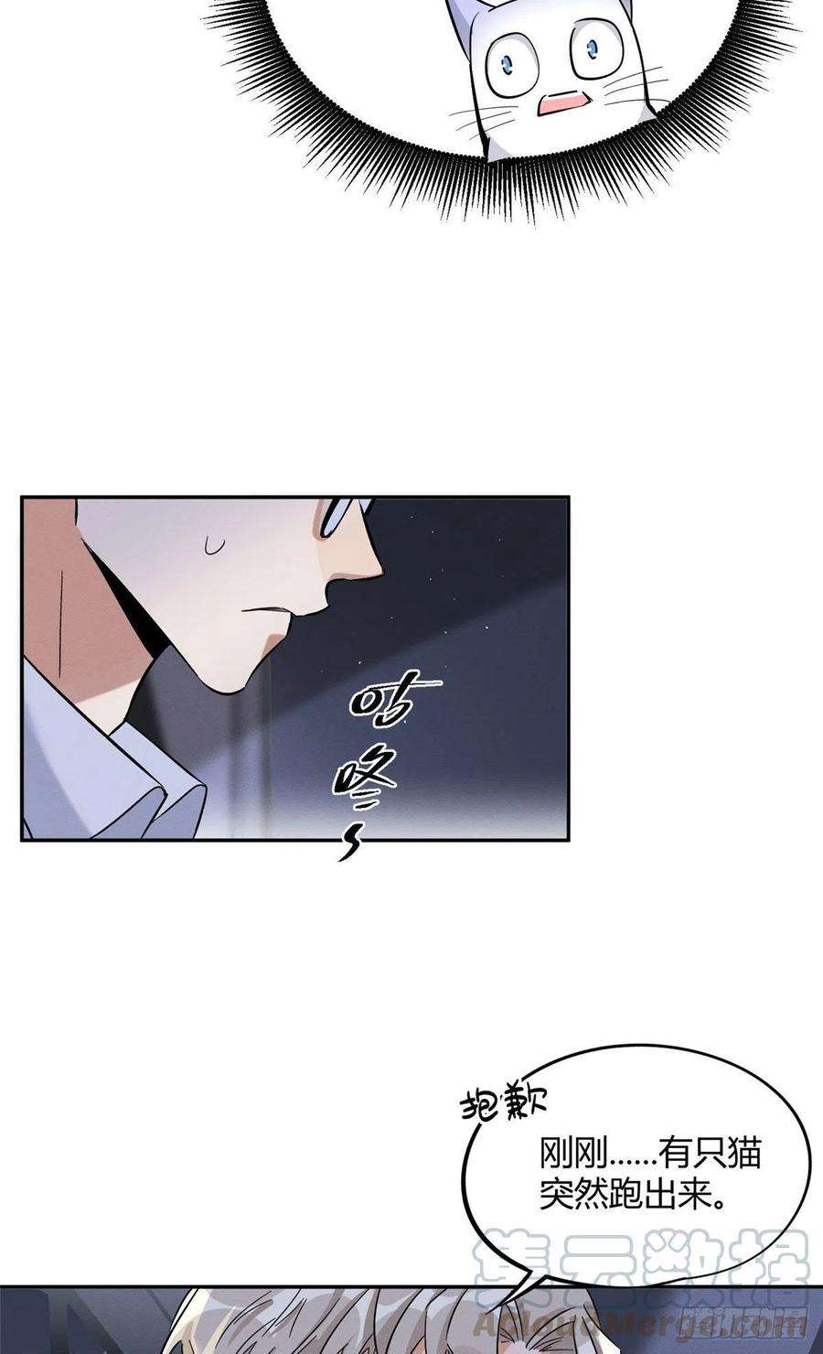 今天也要努力当只猫33话 睹猫思人