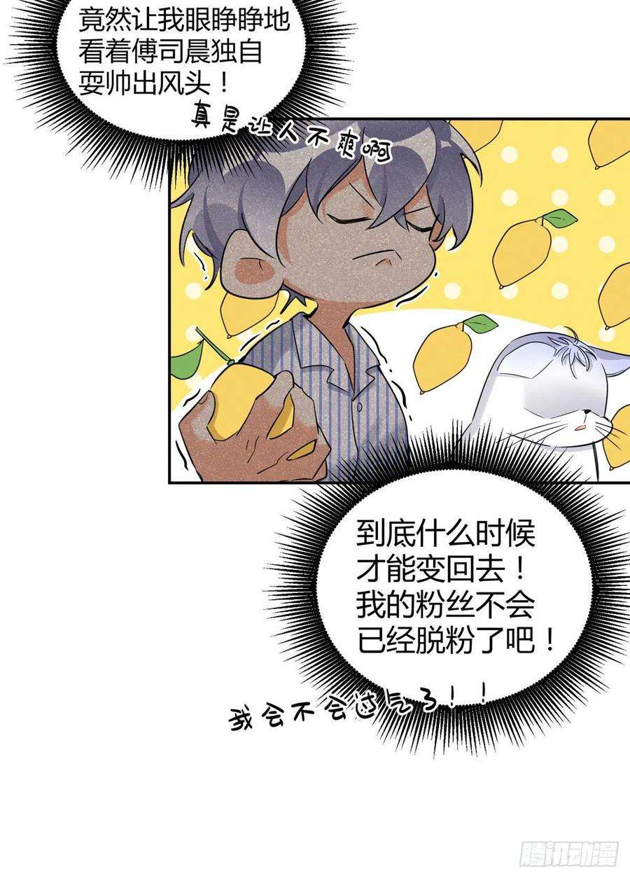 今天也要努力当只猫33话 睹猫思人