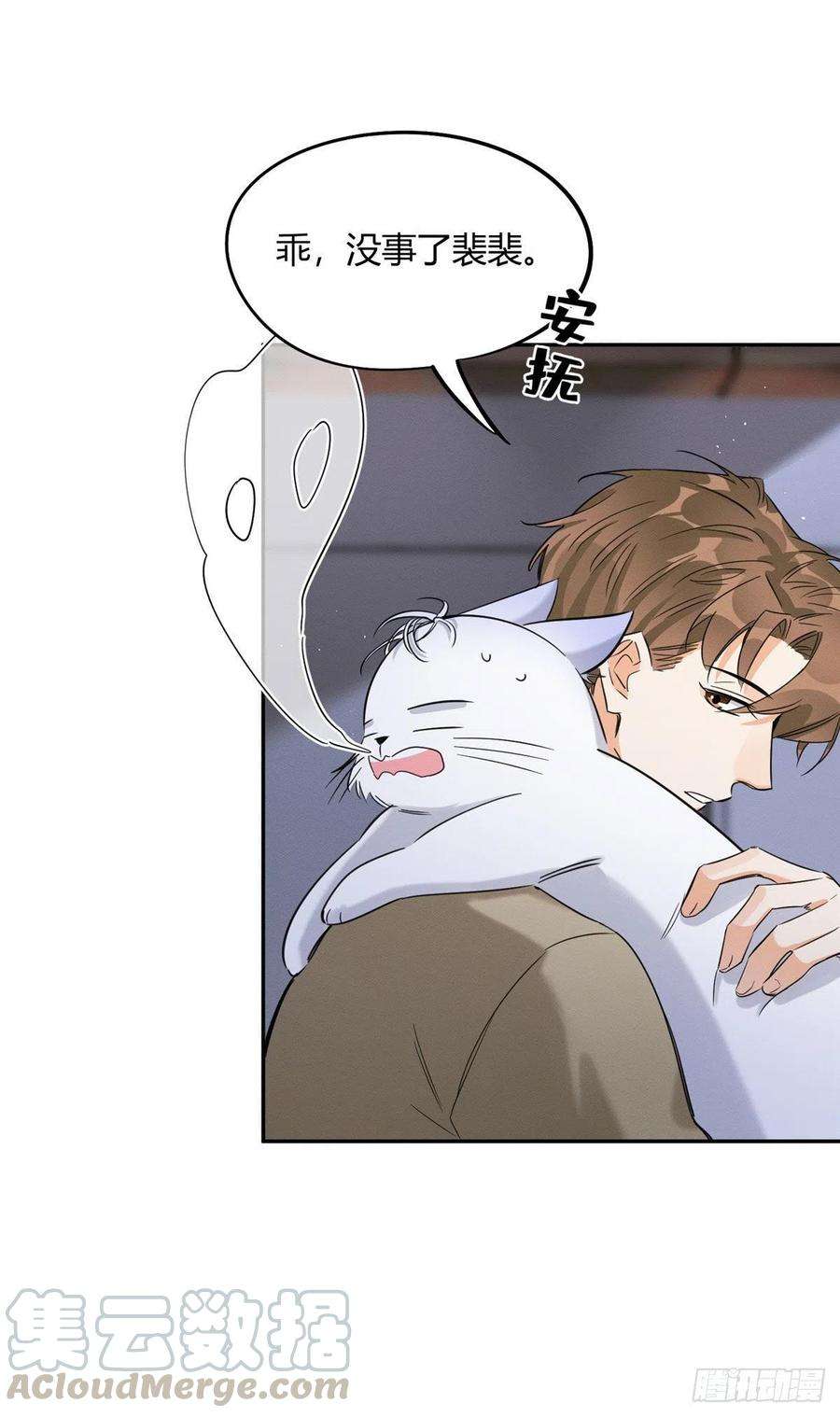 今天也要努力当只猫33话 睹猫思人