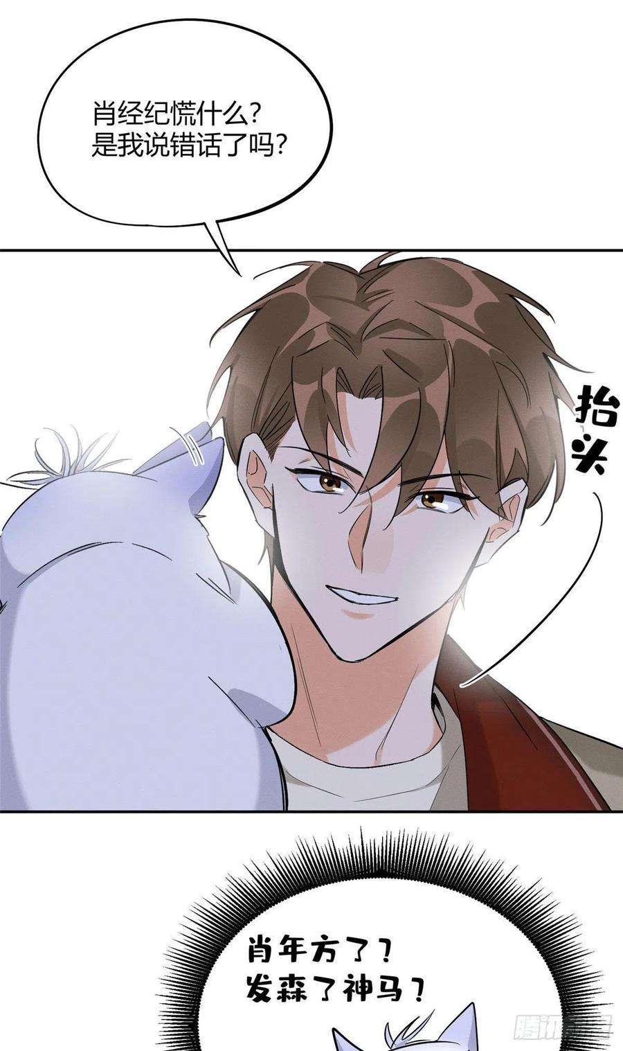 今天也要努力当只猫33话 睹猫思人