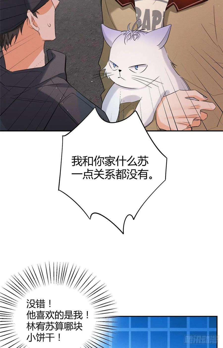 今天也要努力当只猫34话 人猫CP