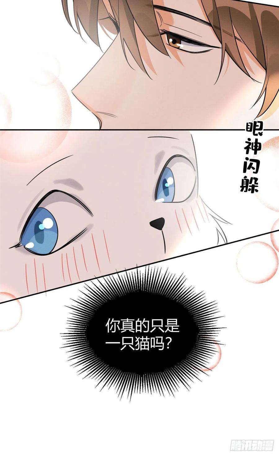 今天也要努力当只猫34话 人猫CP