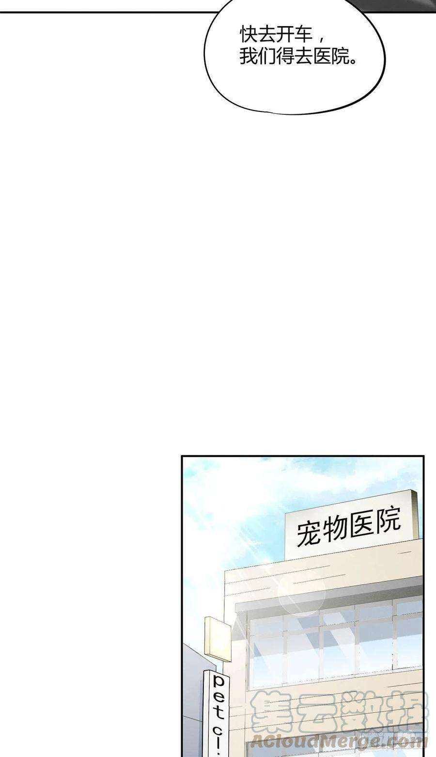 今天也要努力当只猫35话 猫猫病啦