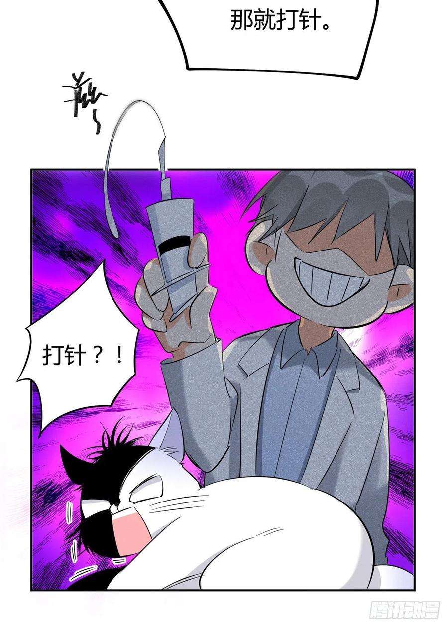 今天也要努力当只猫35话 猫猫病啦