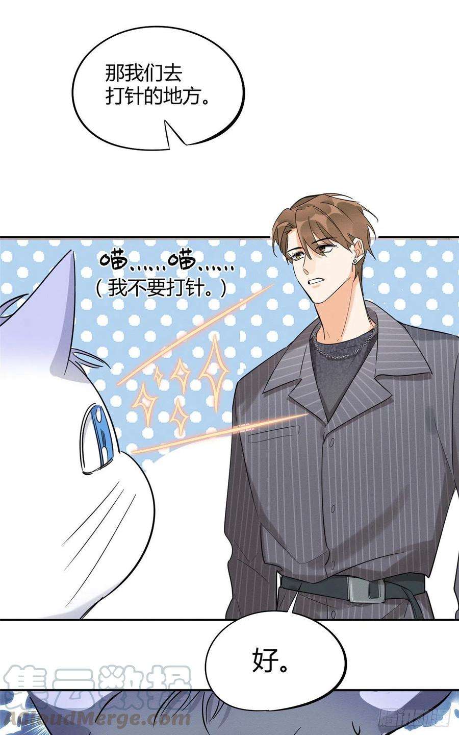 今天也要努力当只猫35话 猫猫病啦