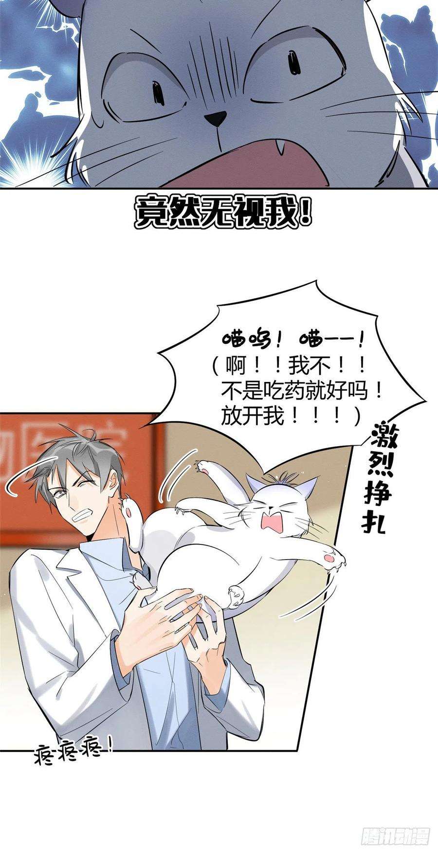 今天也要努力当只猫35话 猫猫病啦