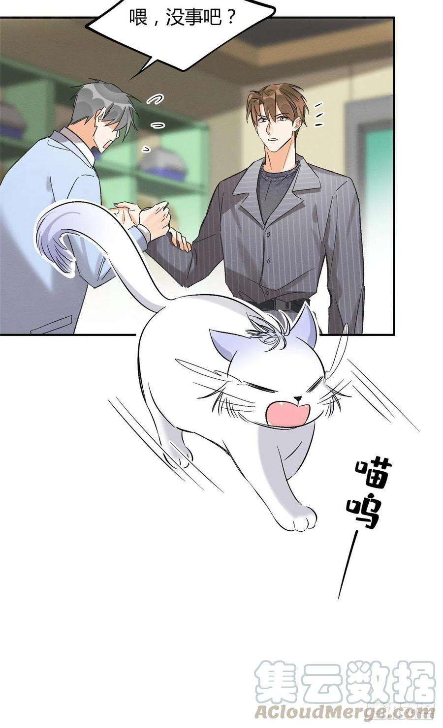 今天也要努力当只猫35话 猫猫病啦