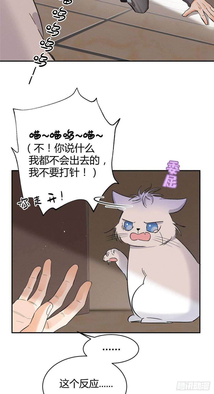 今天也要努力当只猫35话 猫猫病啦