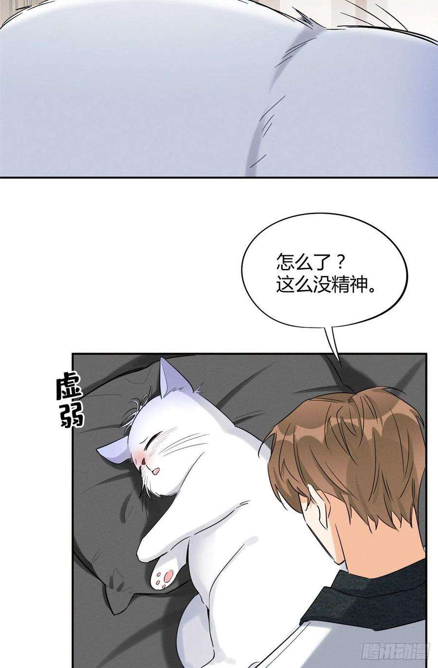 今天也要努力当只猫35话 猫猫病啦