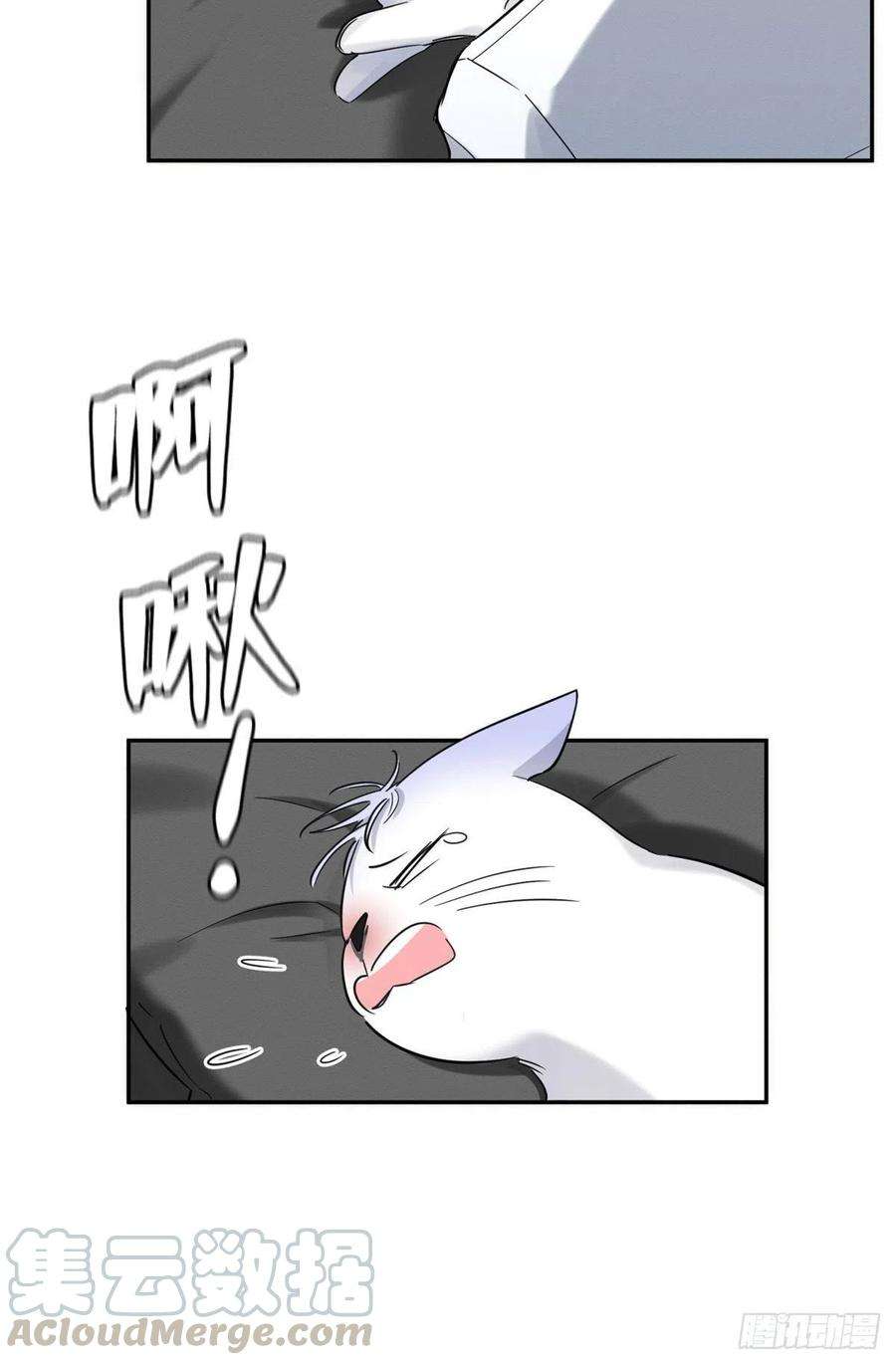 今天也要努力当只猫35话 猫猫病啦