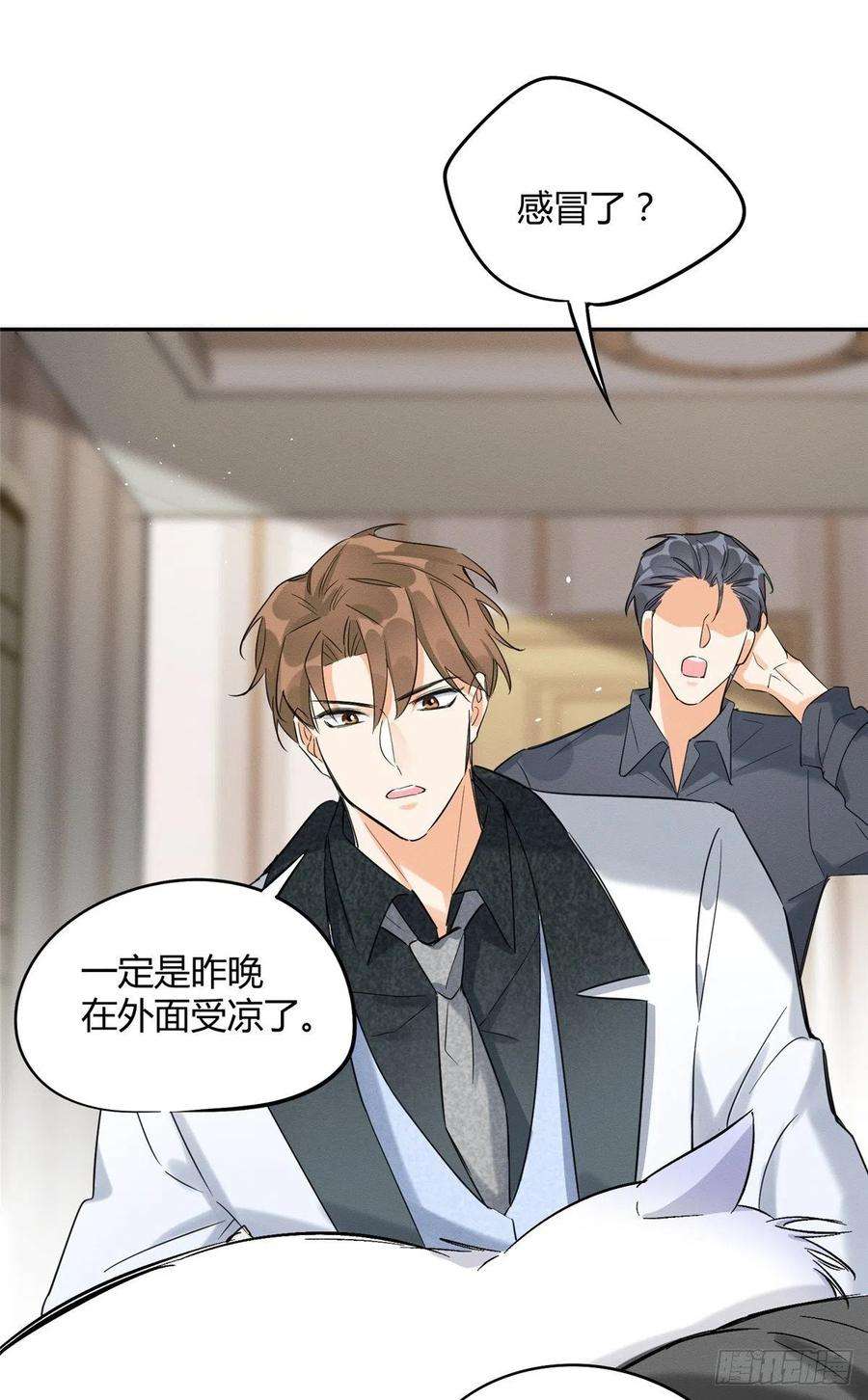 今天也要努力当只猫35话 猫猫病啦