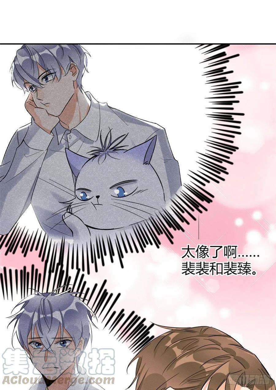 今天也要努力当只猫36话 变成猫怎么恢复？