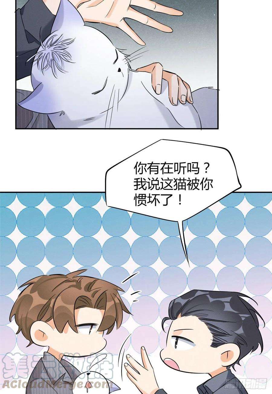 今天也要努力当只猫36话 变成猫怎么恢复？