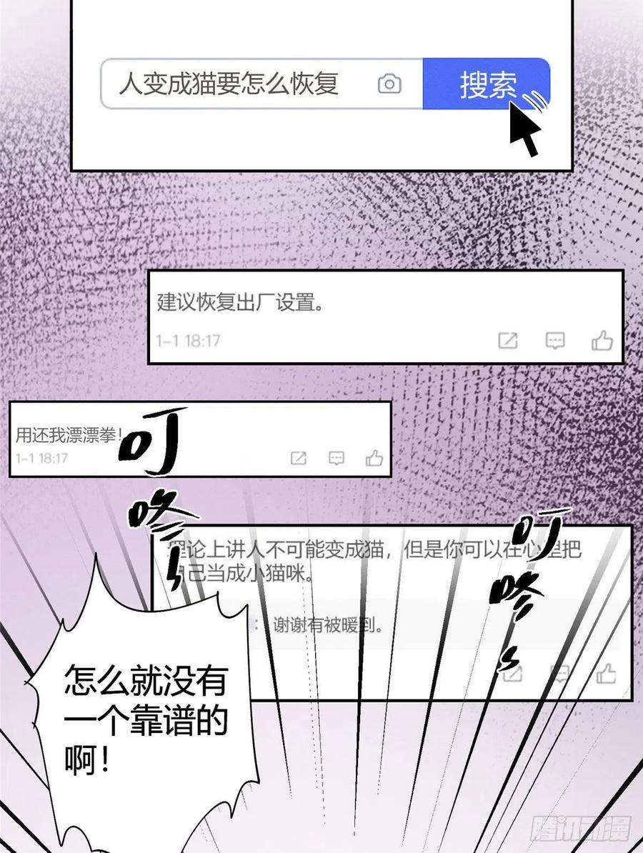 今天也要努力当只猫36话 变成猫怎么恢复？