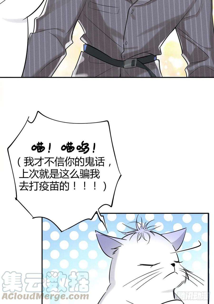 今天也要努力当只猫36话 变成猫怎么恢复？