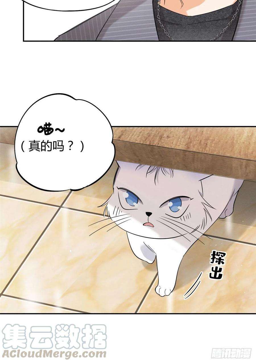 今天也要努力当只猫36话 变成猫怎么恢复？