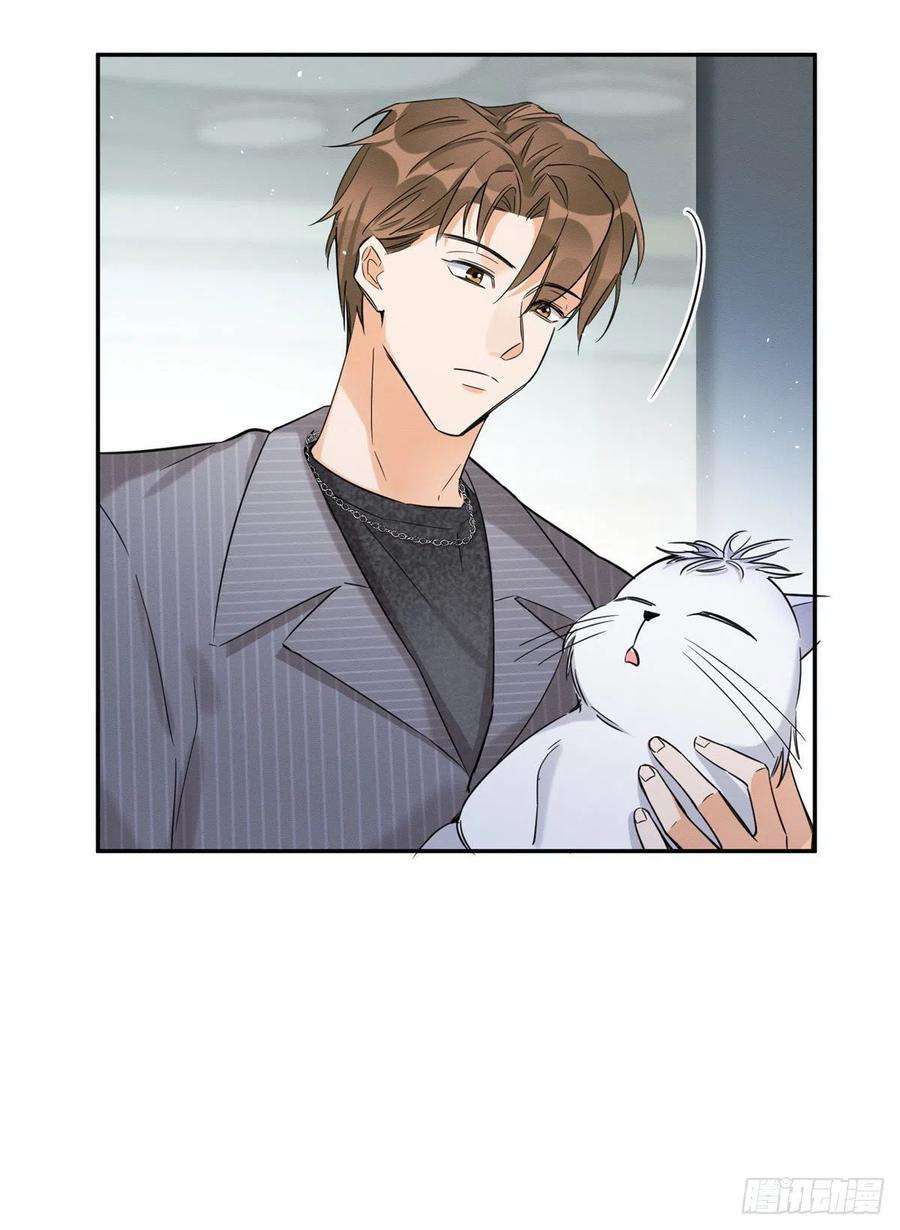 今天也要努力当只猫36话 变成猫怎么恢复？