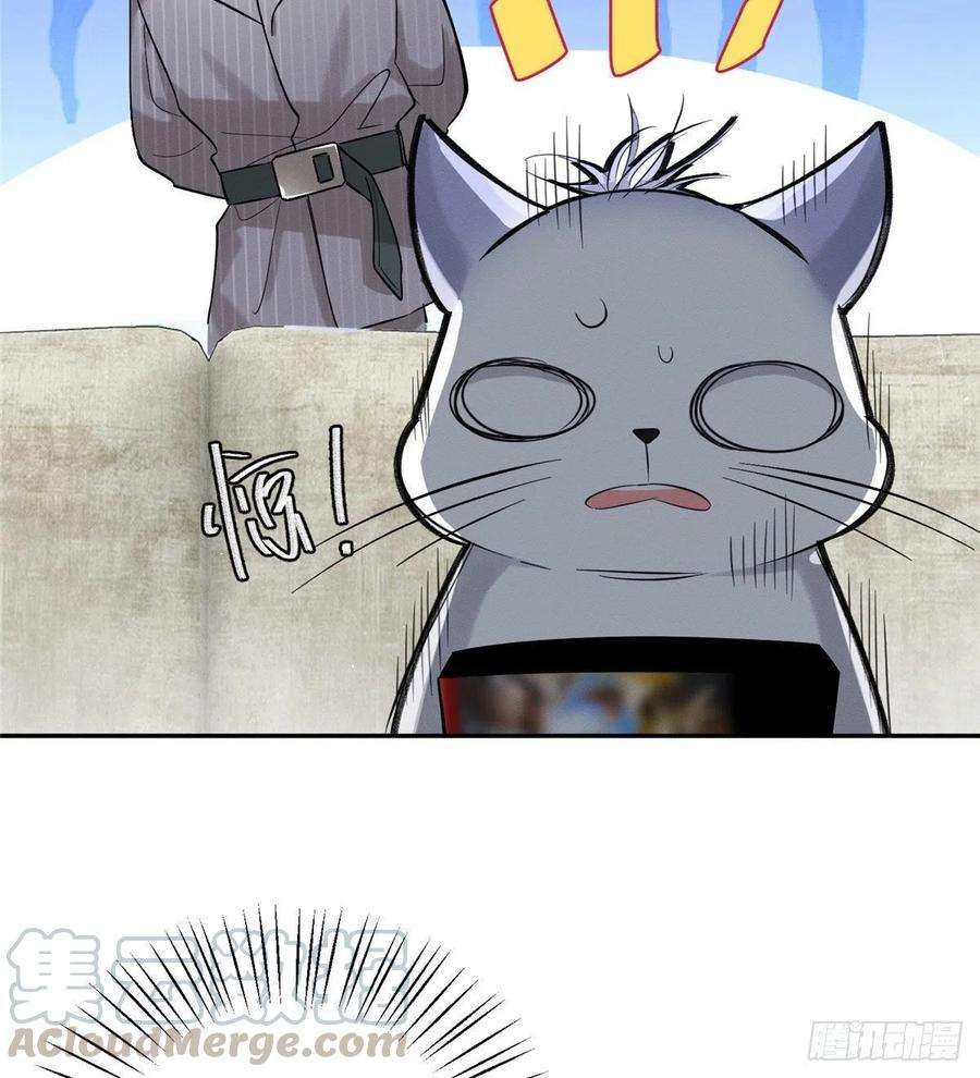 今天也要努力当只猫37话 你就是裴臻