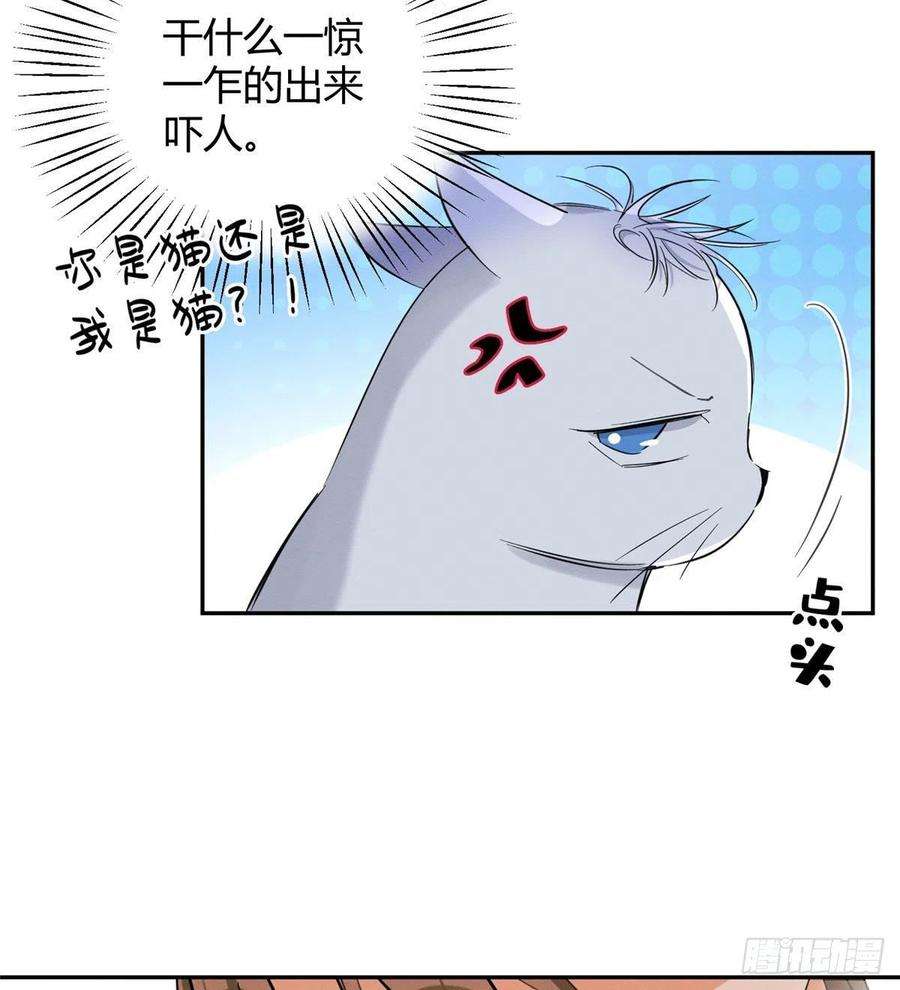今天也要努力当只猫37话 你就是裴臻