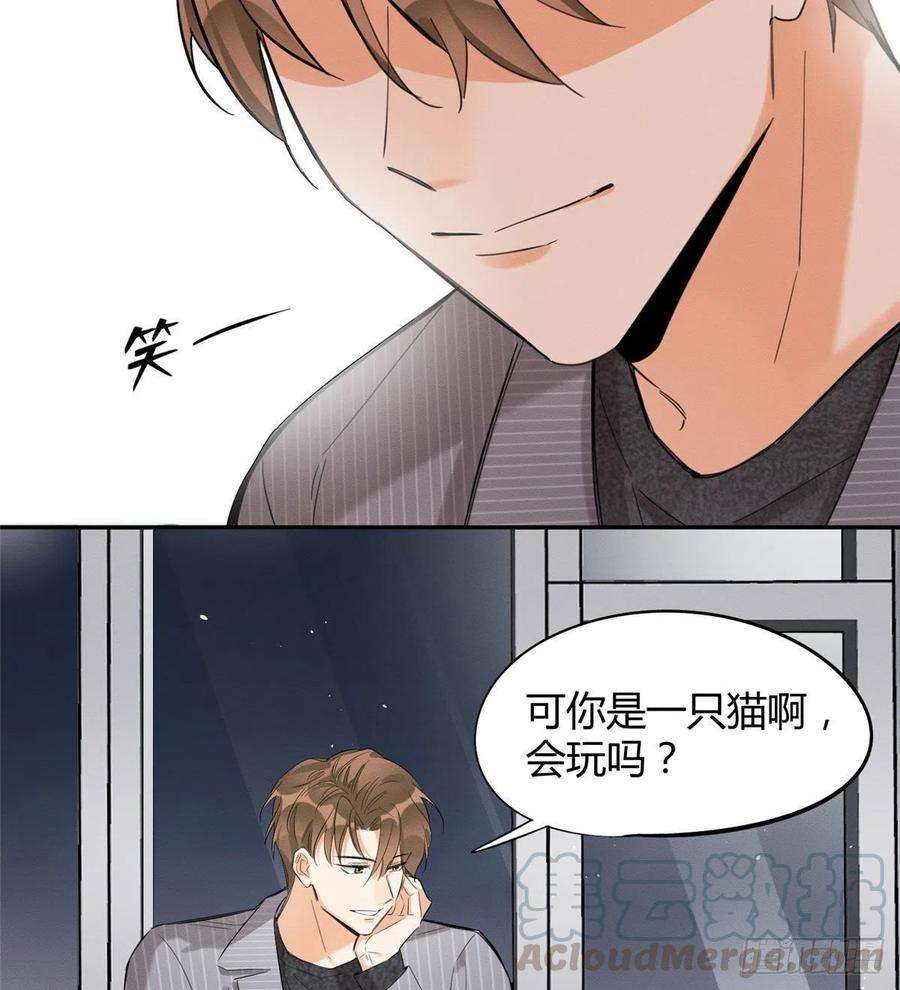 今天也要努力当只猫37话 你就是裴臻