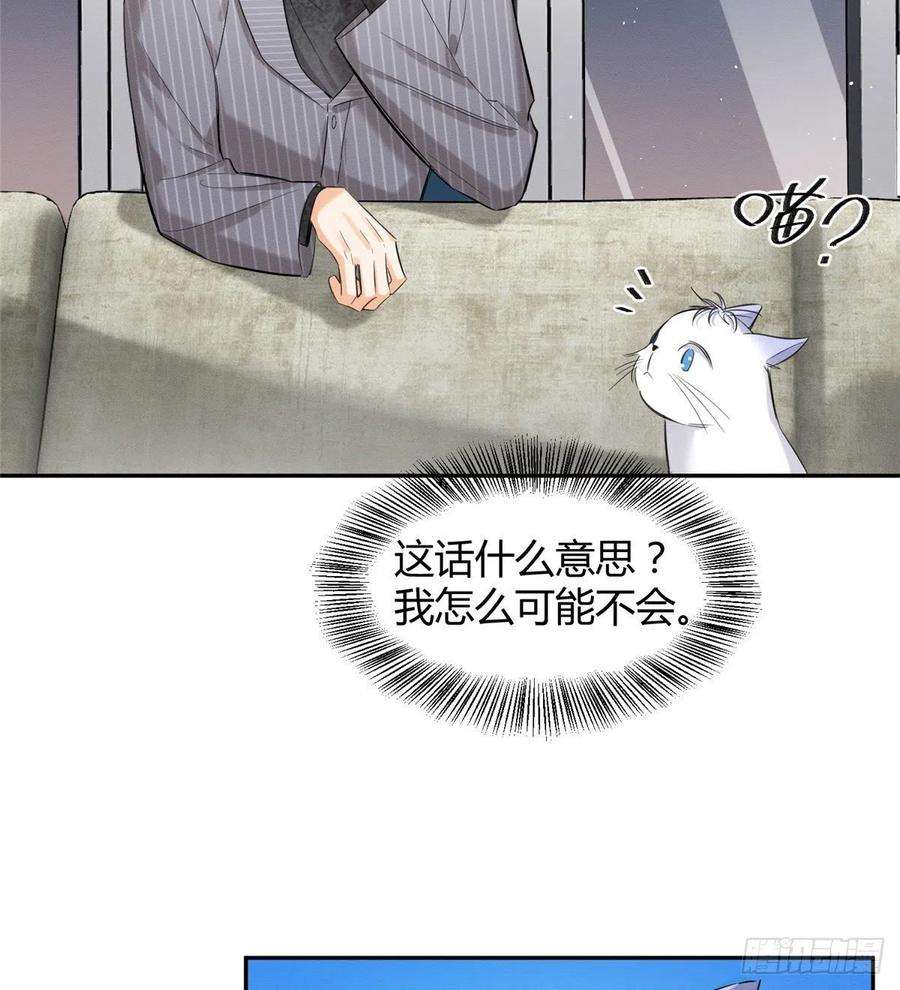 今天也要努力当只猫37话 你就是裴臻