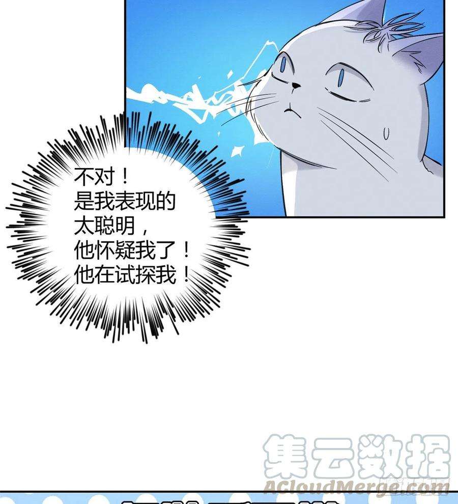 今天也要努力当只猫37话 你就是裴臻