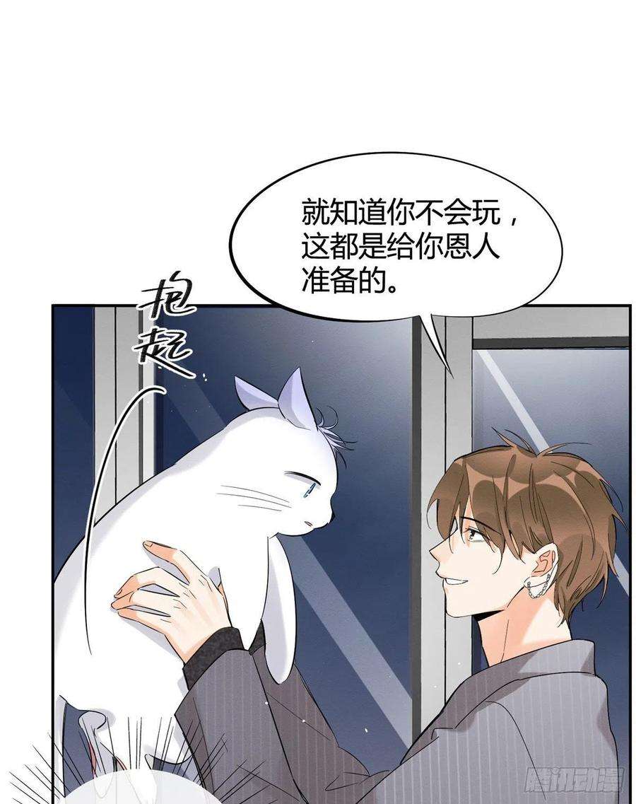 今天也要努力当只猫37话 你就是裴臻