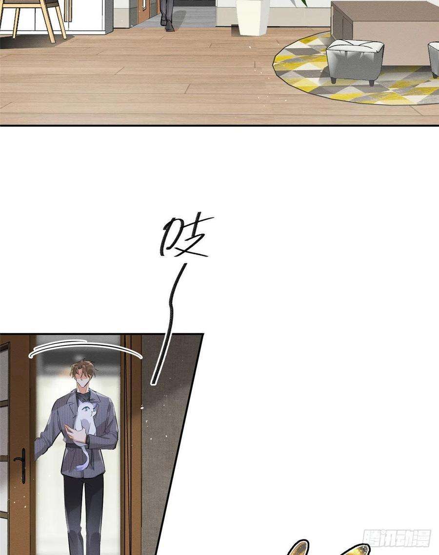 今天也要努力当只猫37话 你就是裴臻