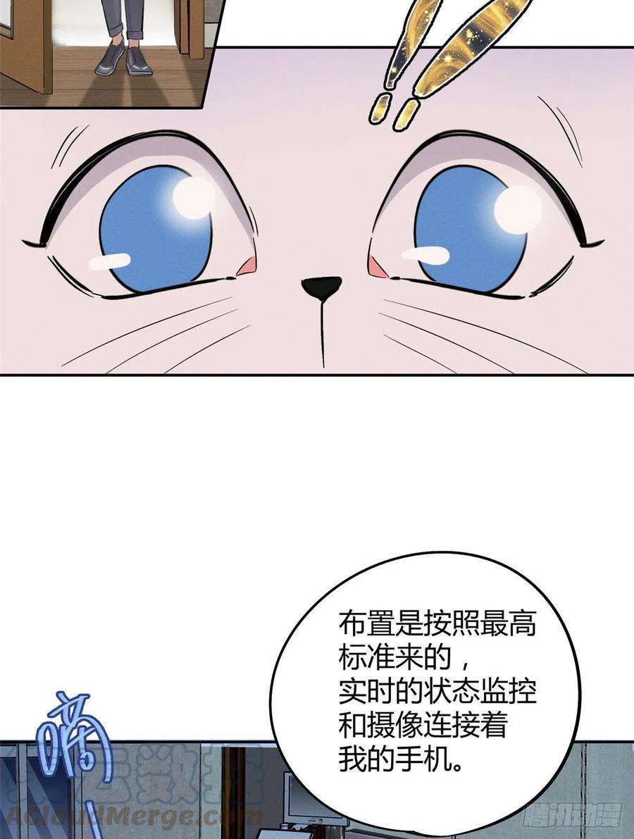 今天也要努力当只猫37话 你就是裴臻