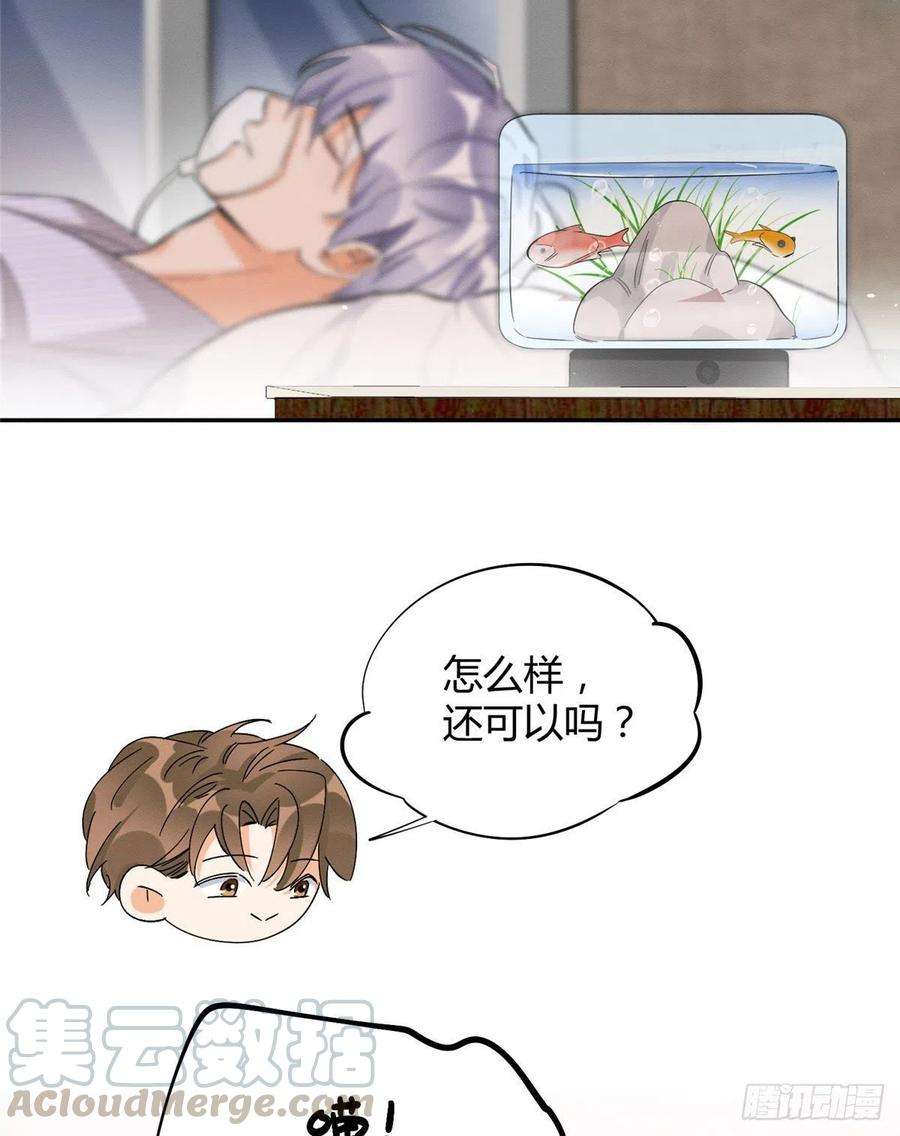 今天也要努力当只猫37话 你就是裴臻