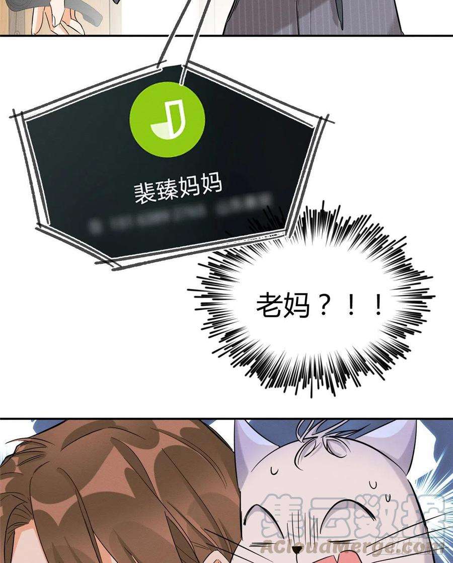 今天也要努力当只猫37话 你就是裴臻