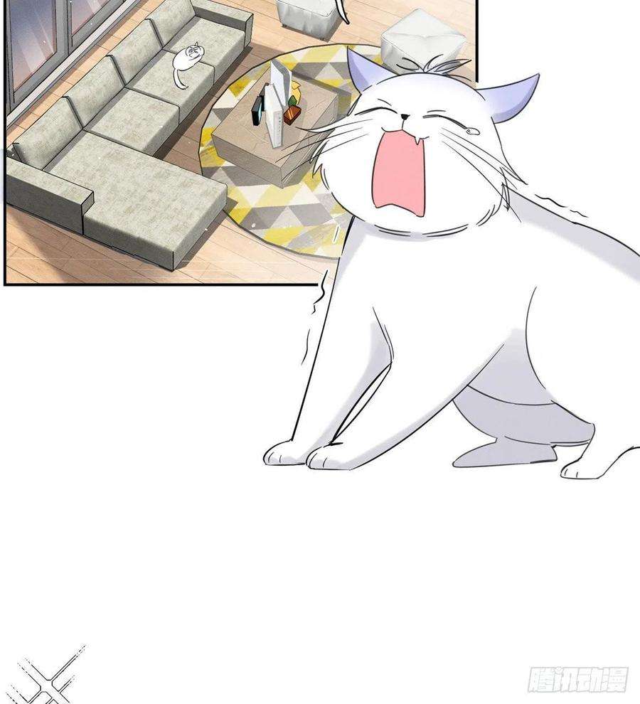 今天也要努力当只猫37话 你就是裴臻