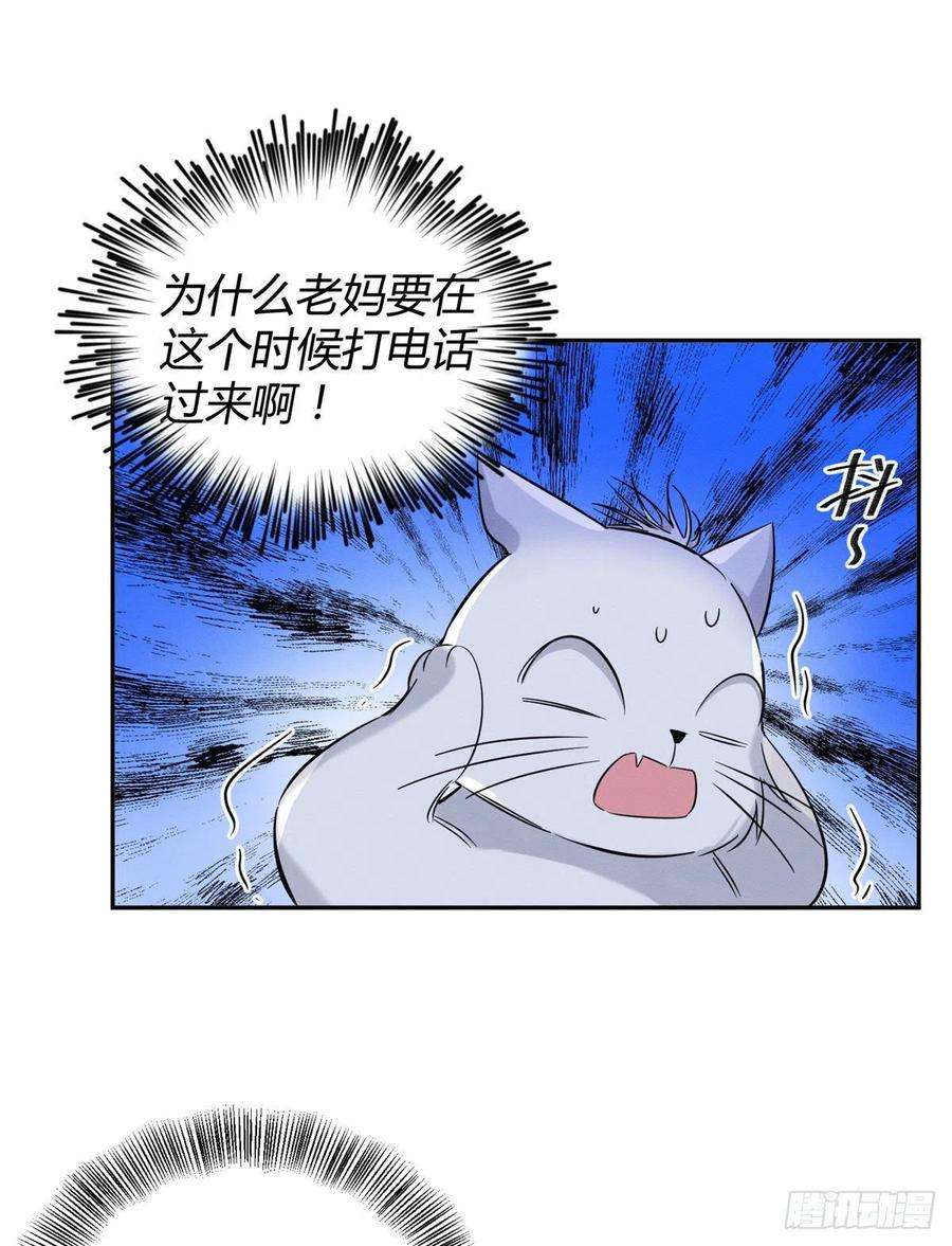 今天也要努力当只猫37话 你就是裴臻