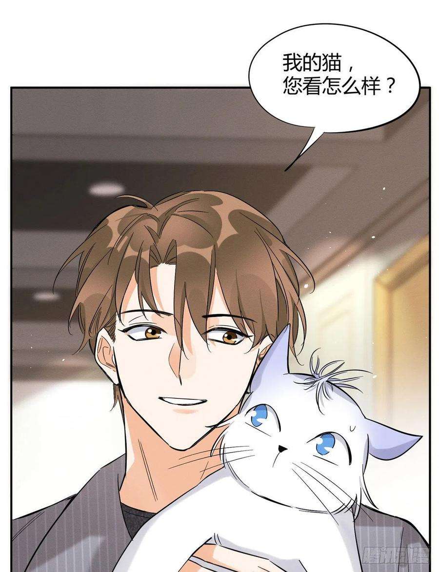 今天也要努力当只猫38话 吻？能醒吗