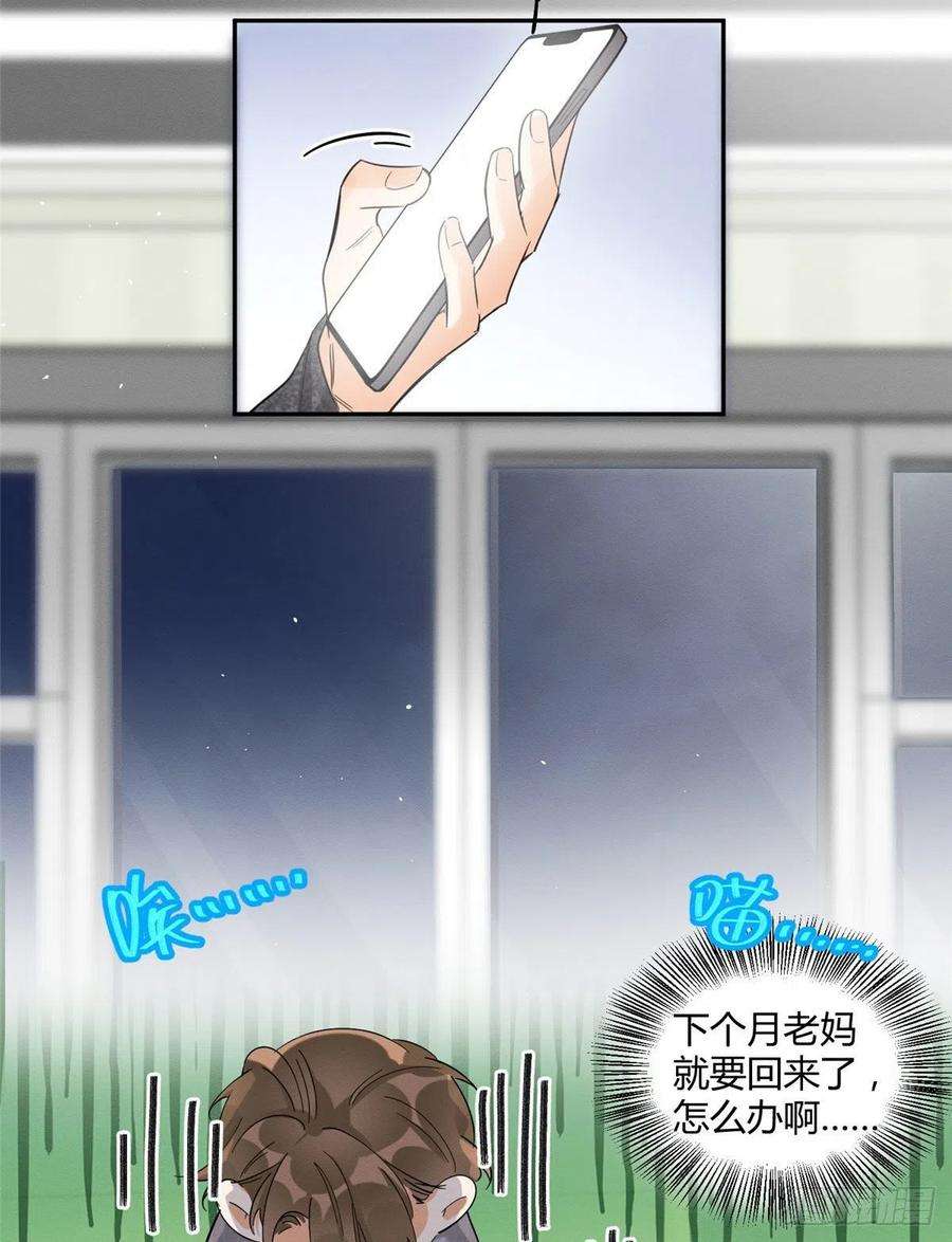 今天也要努力当只猫38话 吻？能醒吗