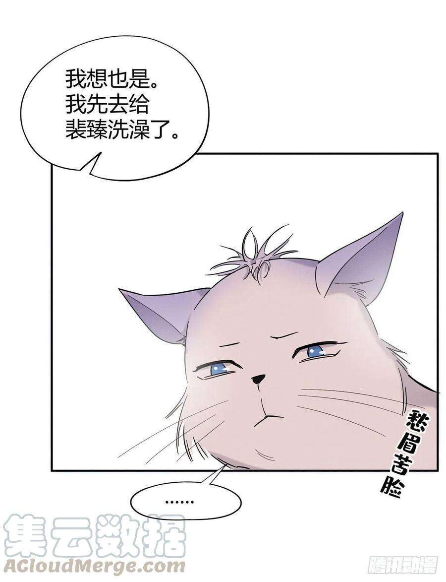 今天也要努力当只猫38话 吻？能醒吗